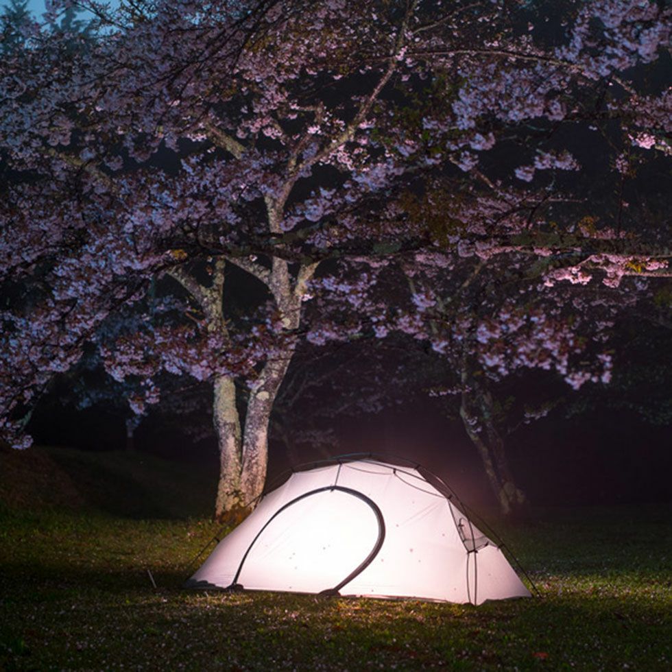 Pre Tents プレテント Lightrock 1p | TECH COUNTRY