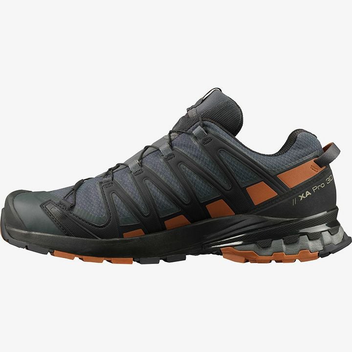 SALOMON サロモン XA PRO 3D V8 GTX エックスエープロ3ディーブイ8