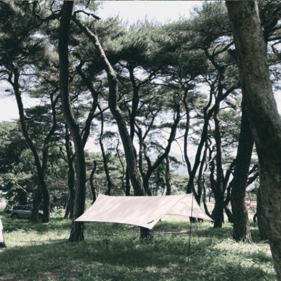 LAST1】groundcover グランドカバー MINI HEXA TARP ミニヘキサー