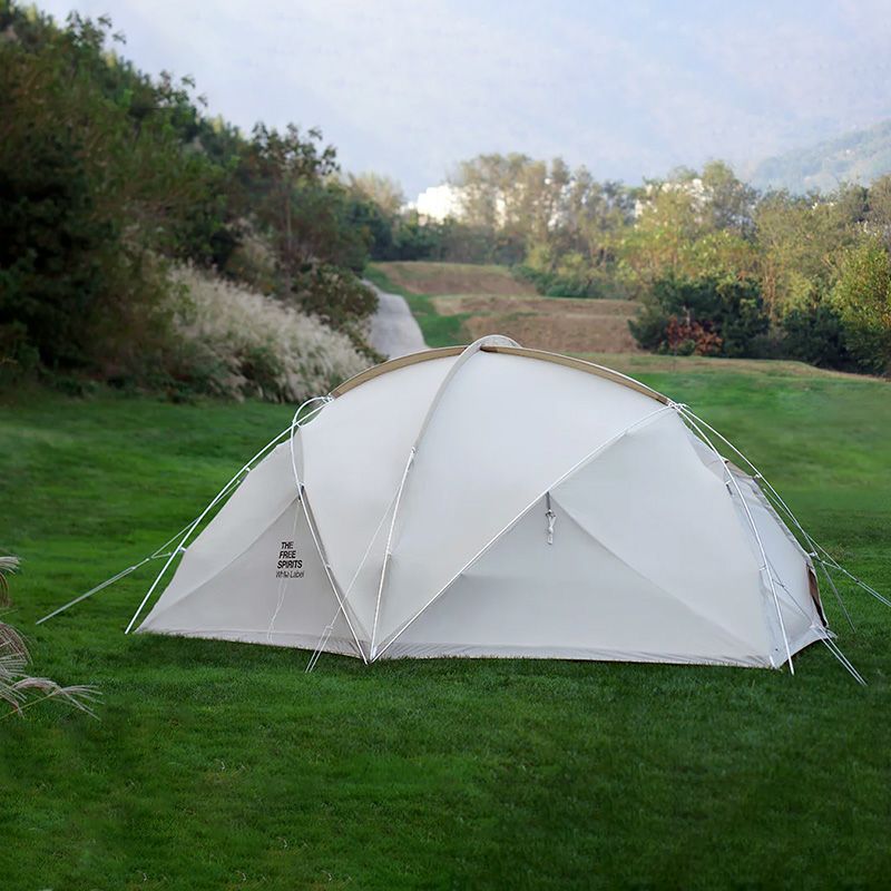 THE FREE SPIRITS | TECH COUNTRY